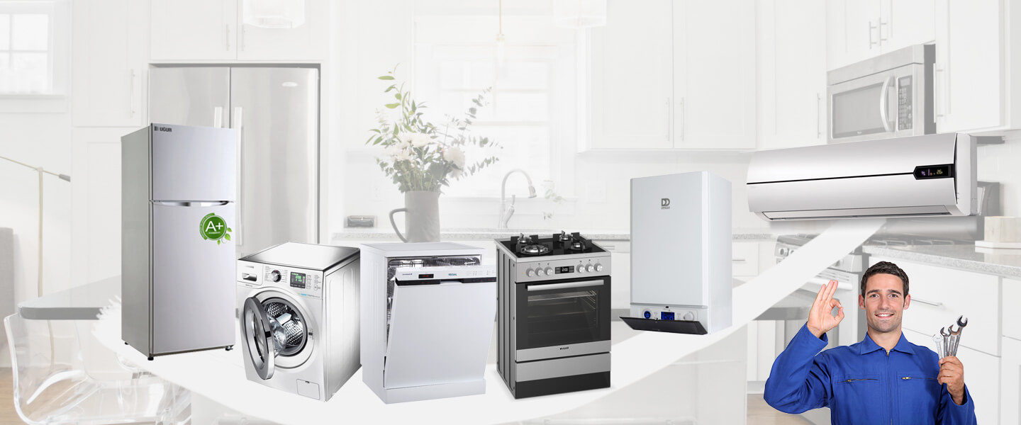 Urla Grundig Servisi